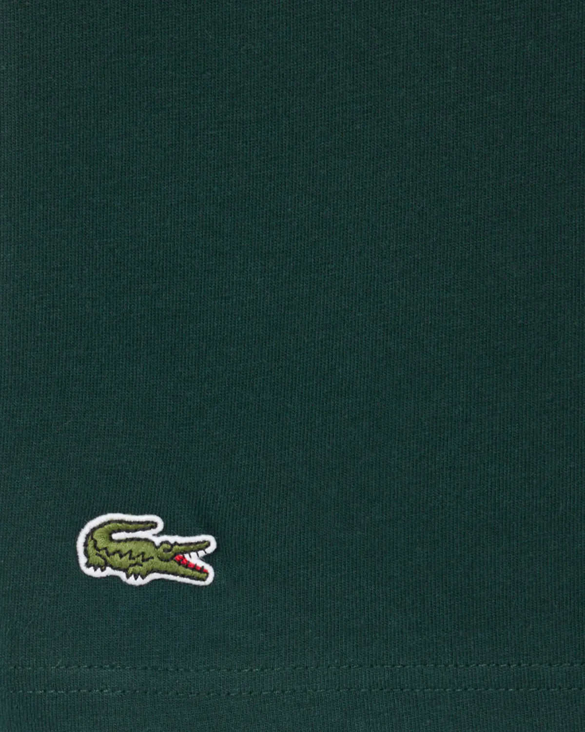 Lacoste Lacoste T-Shirt in Relaxed Fit, Rolex Paris Masters Edition – Sinople